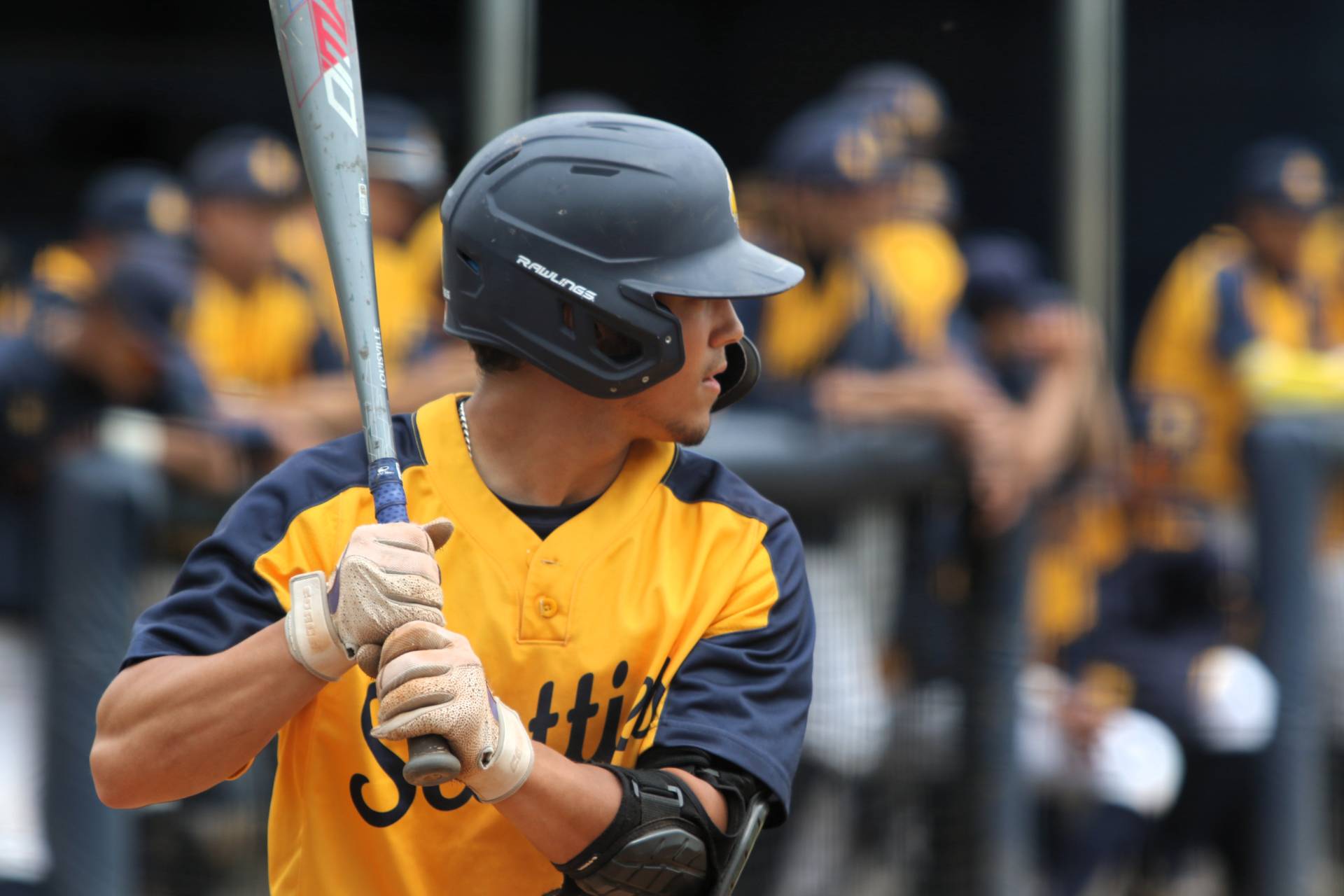 Scottie baseball player up to bat.